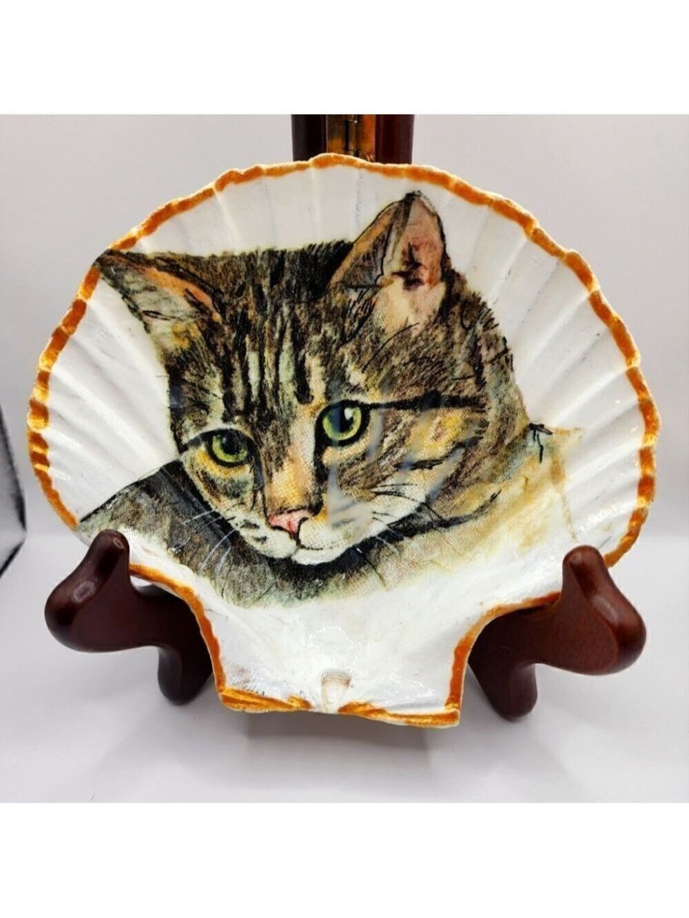 SCALLOPED FAN SHELL 